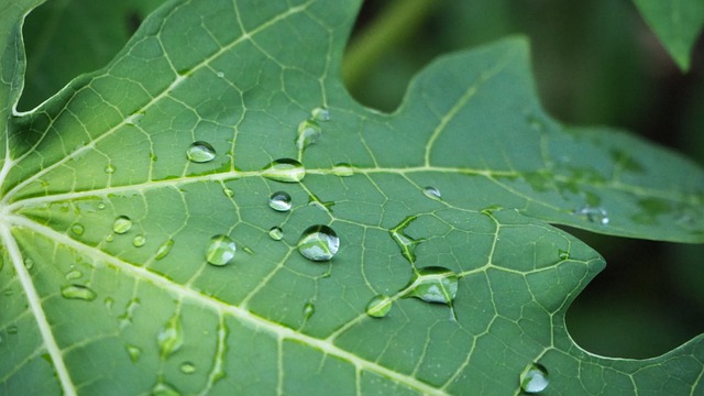 雨水至，万物生，舒适生活还得是TA！