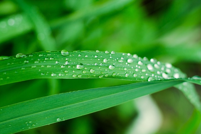 雨水至，万物生，舒适生活还得是TA！